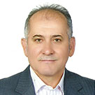 Davoud Mohammad Hasani