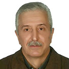 Mohammadreza Nikouie